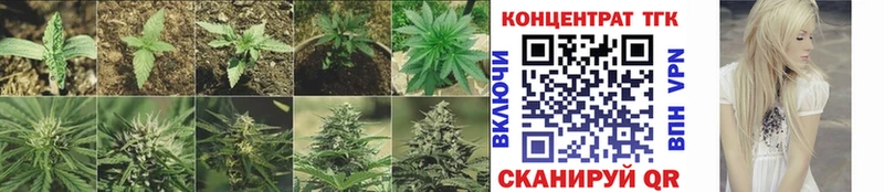 ТГК вейп  Купить где  Лесозаводск 
